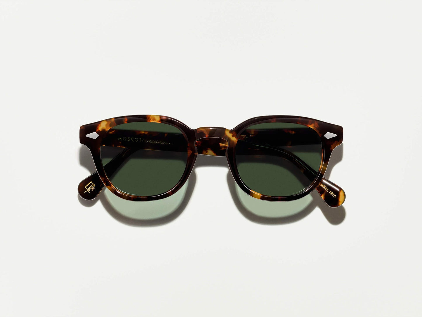 LEMTOSH sun TORTOISE