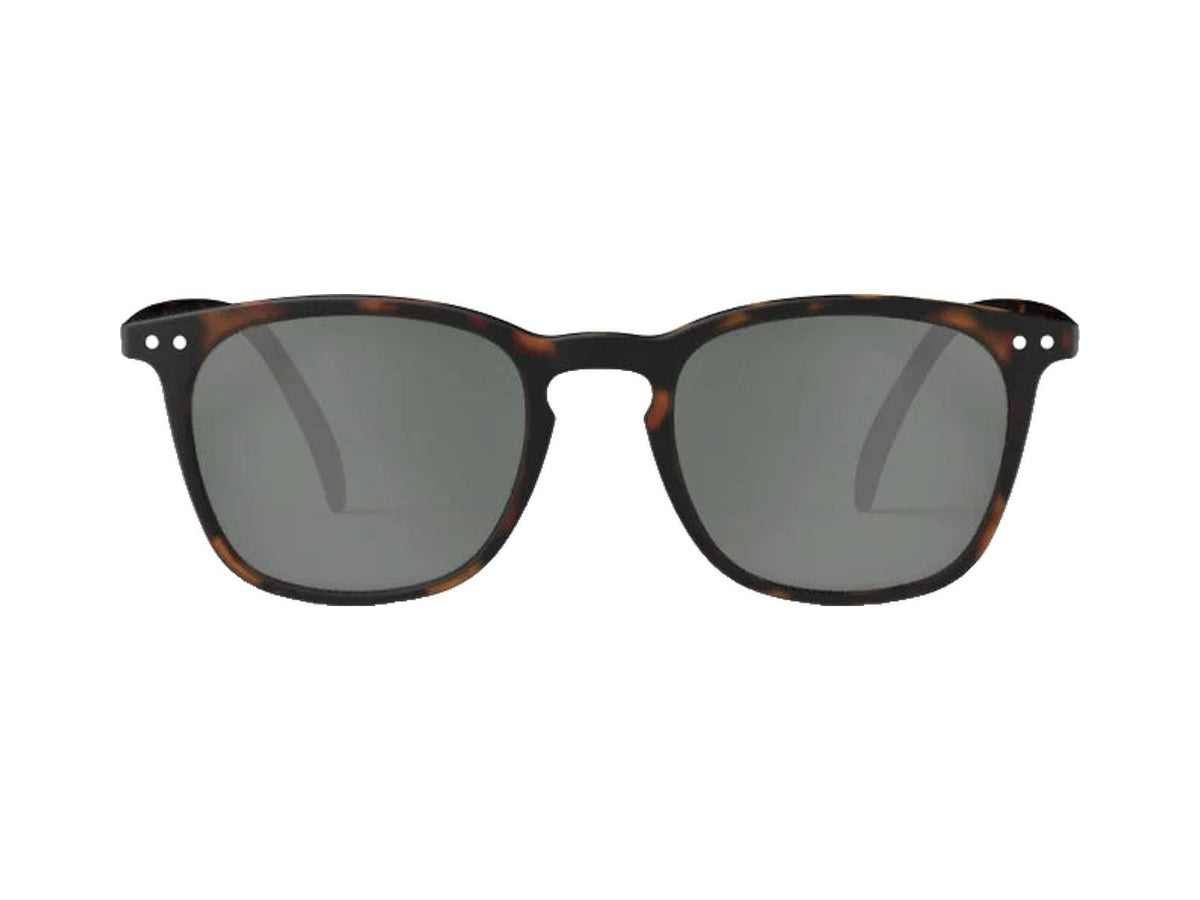#E SUN Tortoise